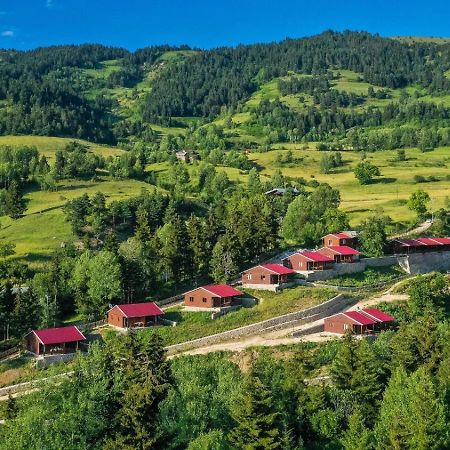 Danzot Tatil Koeyue Villa Artvin Kültér fotó