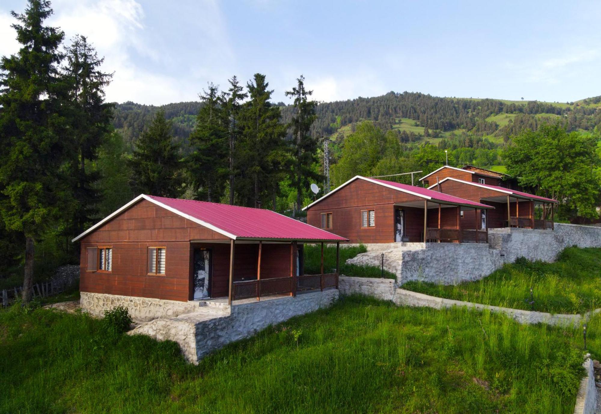 Danzot Tatil Koeyue Villa Artvin Kültér fotó